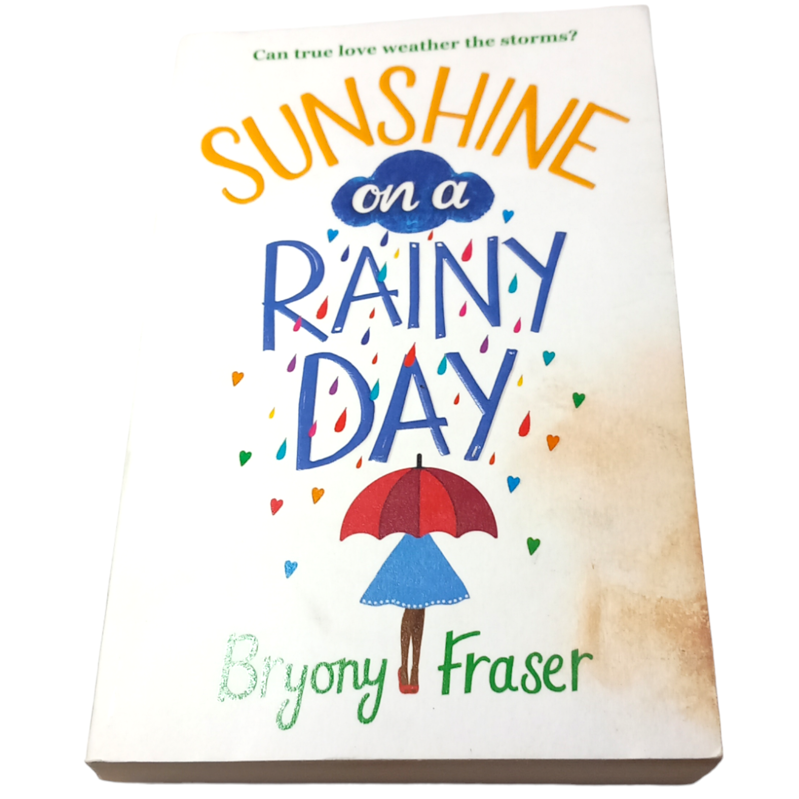 Sunshine on a Rainy Day by Bryony Fraser (Paperback, 2016)
