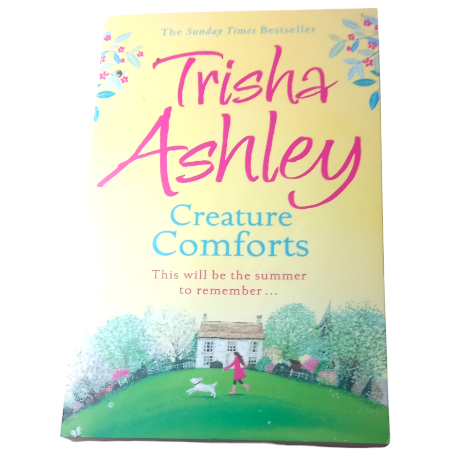 Creature Comforts by Trisha Ashley (Paperback, 2015) Good Condition