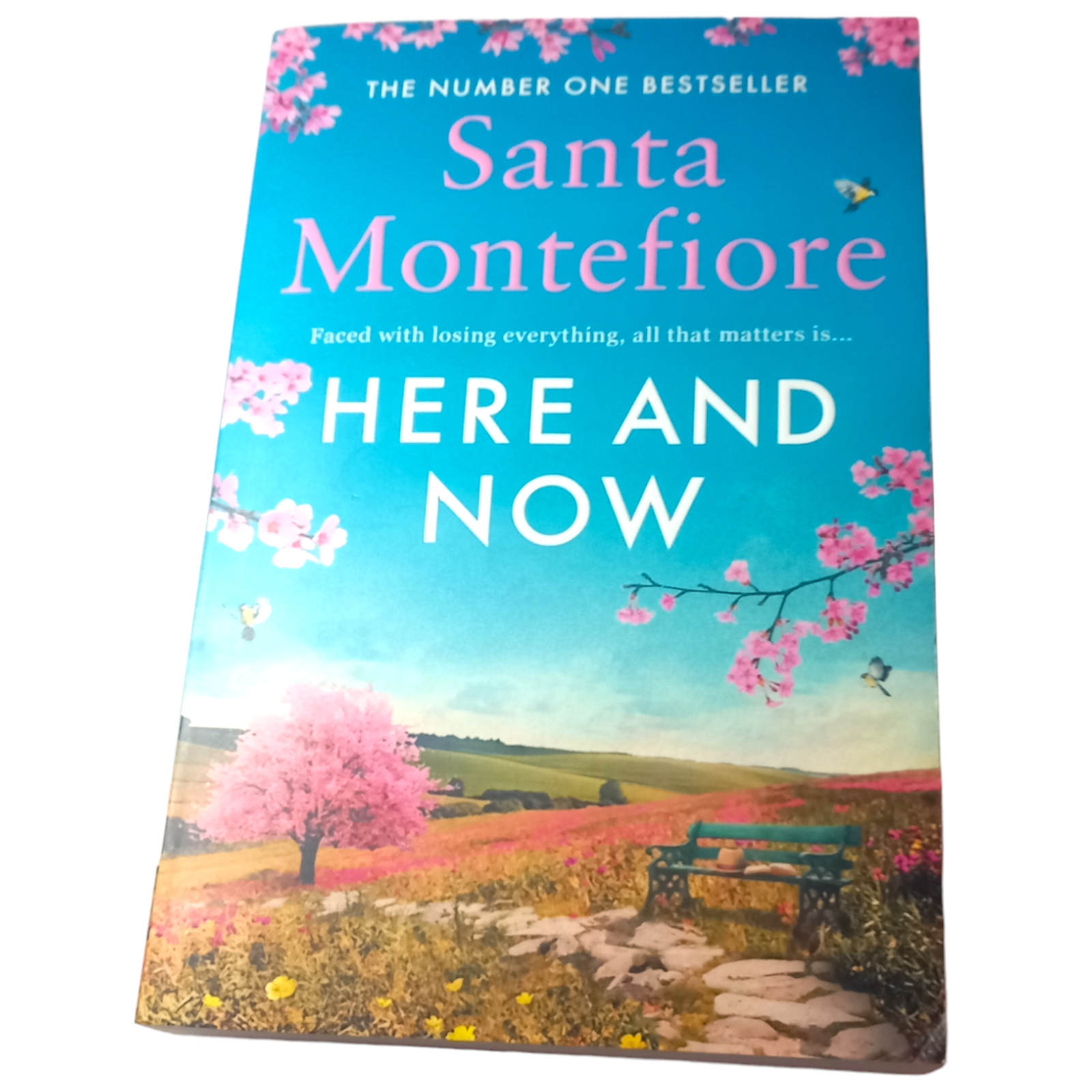 Here and Now: Evocative, emotional and full of life, the most moving book you'll