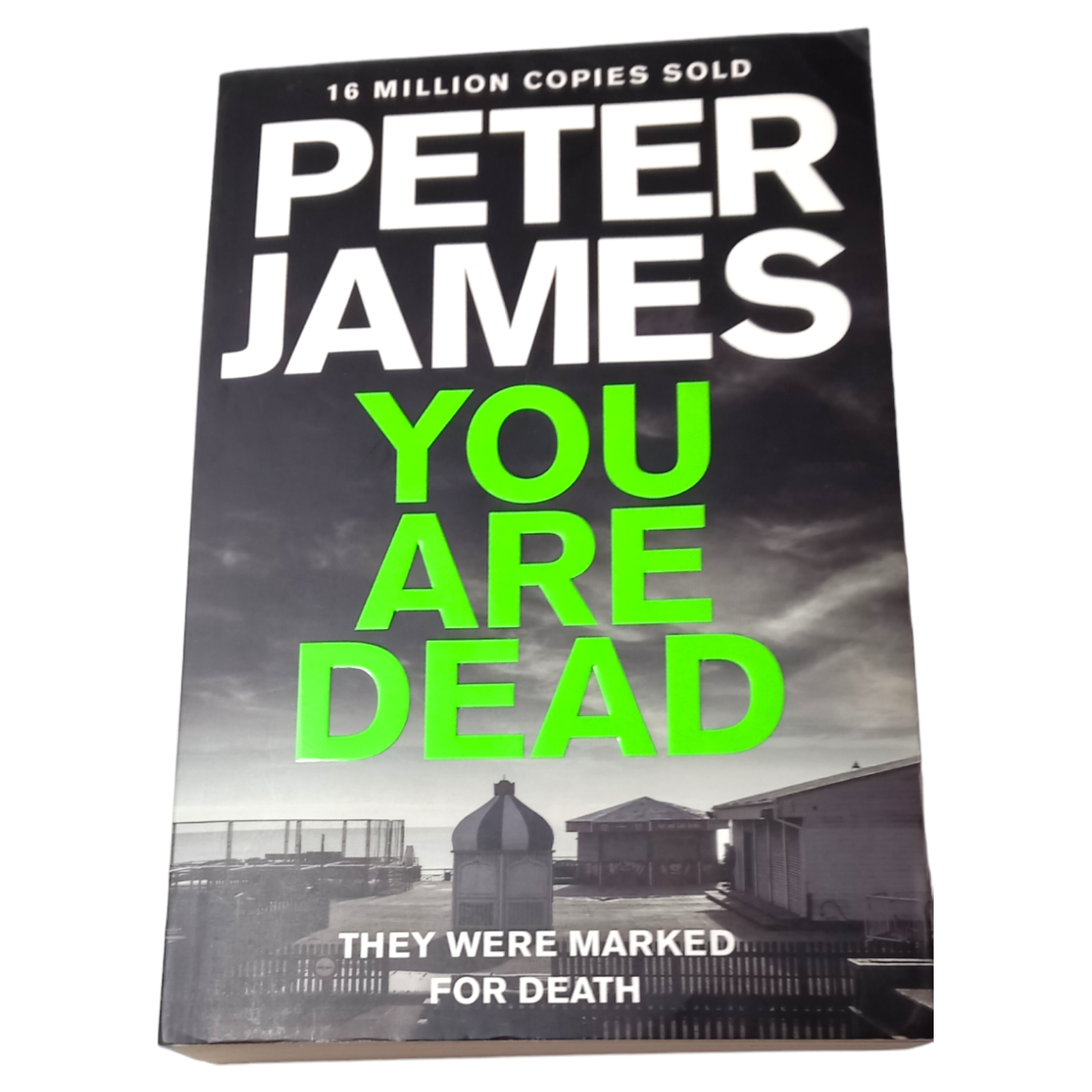 You Are Dead by Peter James (Paperback, 2015)