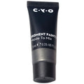 CYO Dark Silver Pigment Paint 7.5ml
