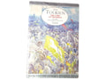 The Return of the King by Tolkien, 1996 Alan Lee Edition (Used)