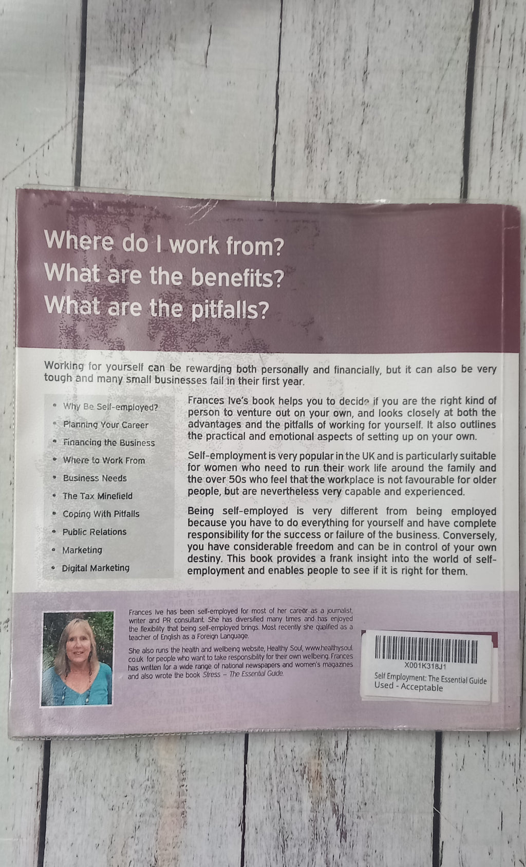 Self-Employment The Essential Guide by Frances Ive Paperback Book Used Acceptable