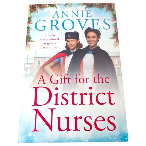A Gift for the District Nurses (The District Nurses, Book 4) by Annie Groves