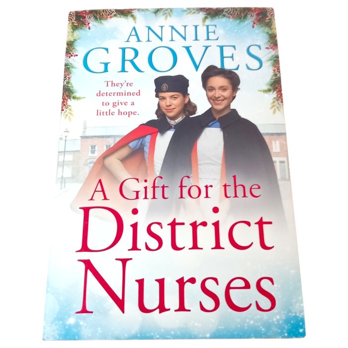 A Gift for the District Nurses (The District Nurses, Book 4) by Annie Groves