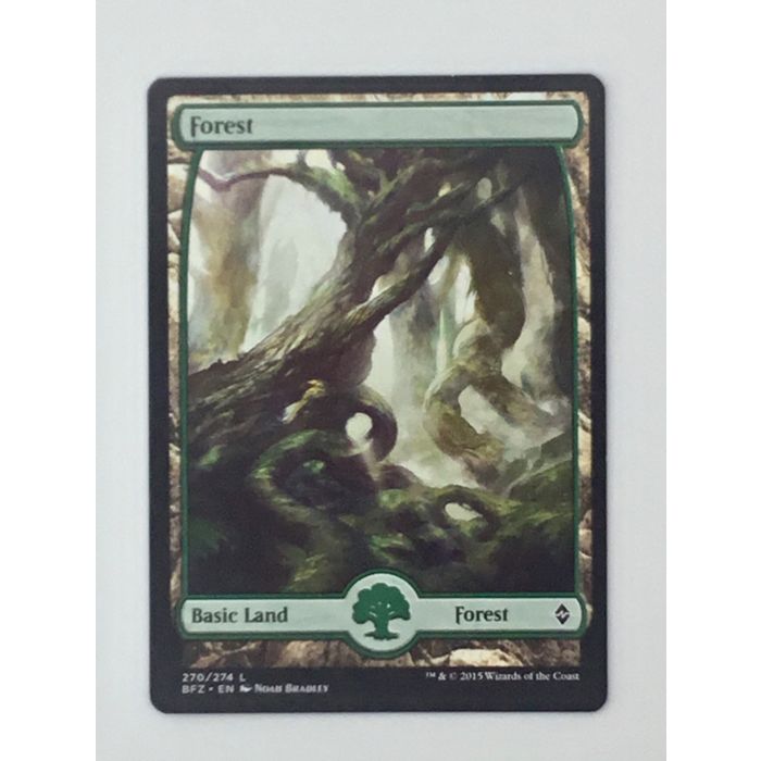 MTG Forest Basic Land 270/274 Battle for Zendikar Bradley 2015 Wizards Coast