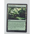 MTG Fertile Thicket Land 237/274 Battle for Zendikar Rocha 2015 Wizards Coast