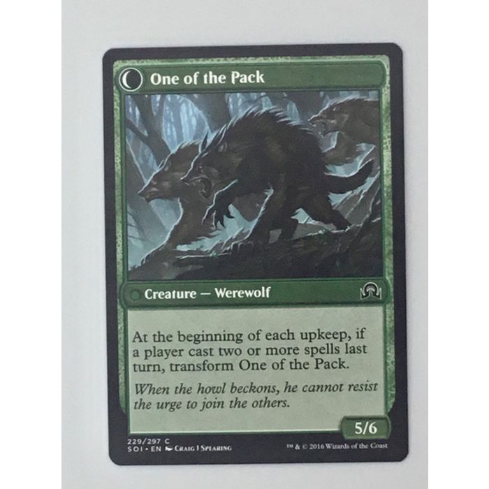 MTG Double Faced Card Solitary Hunter One of the Pack Shadows Werewolf 229/297