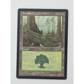 MTG Forest Land 348/350 Mercadian Masques Rob Alexander Wizards of the Coast