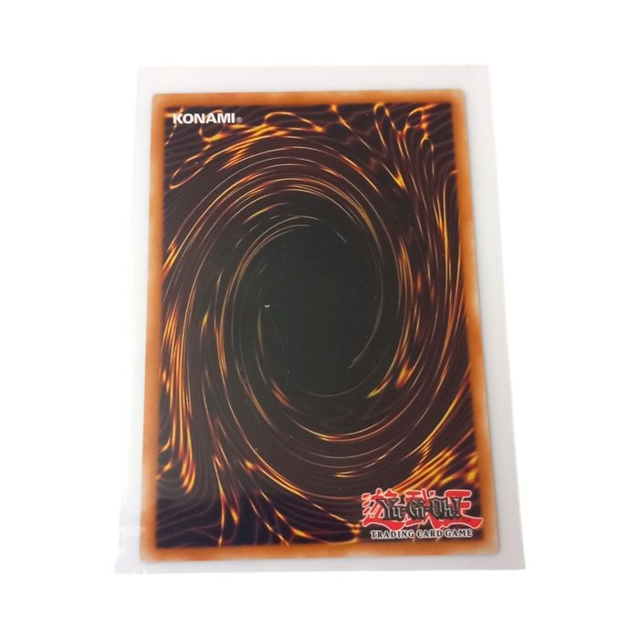 Dracotail Sting DOOD-EN077 Rare 1st Edition NM Yu-Gi-Oh TCG Card Trap Regular