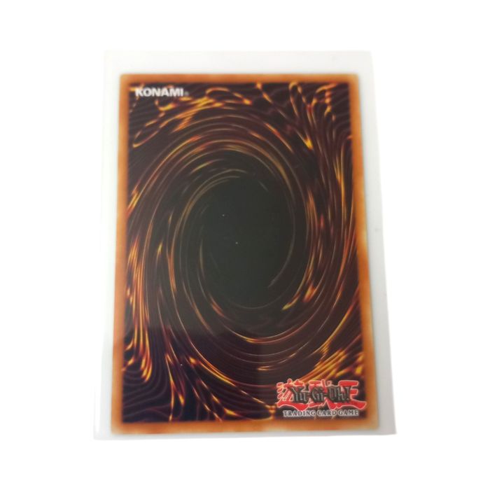 Gouki Dragon Ogre DOOD-EN041 Common 1st Edition NM Yu-Gi-Oh TCG Card Regular