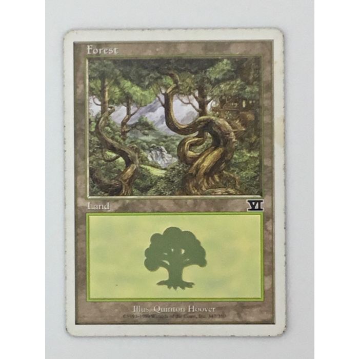 MTG Forest Land 6th Edition 347/350 Illustrated Quinton Hoover Wizards Coast