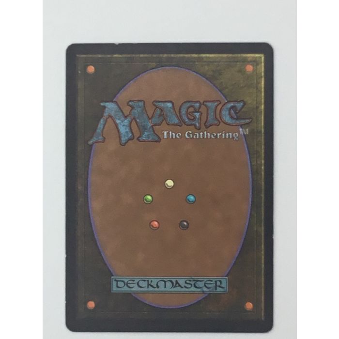 MTG Forest Land 6th Edition 347/350 Illustrated Quinton Hoover Wizards Coast