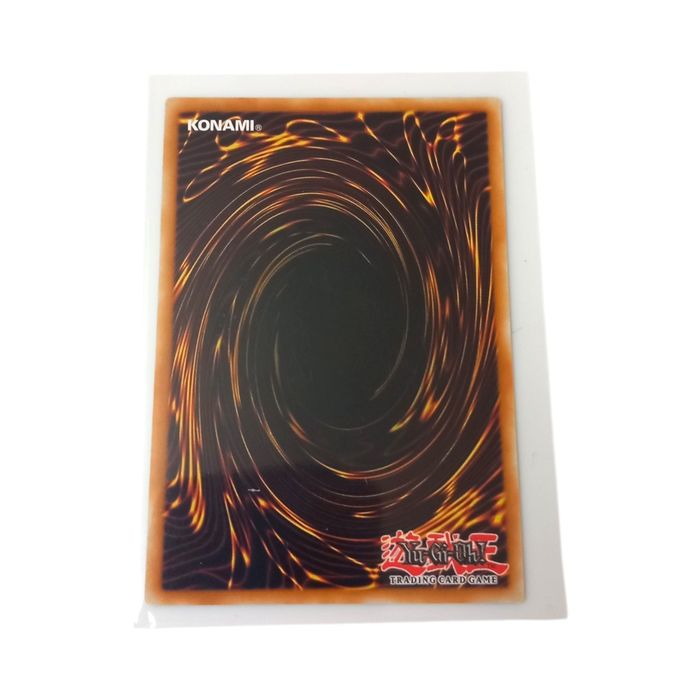 R.B. Last Stand DOOD-EN095 Common 1st Edition NM Yu-Gi-Oh TCG Trap Card Regular