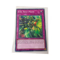 R.B. Next Phase DOOD-EN096 Common 1st Edition NM Yu-Gi-Oh TCG Trap Card Regular