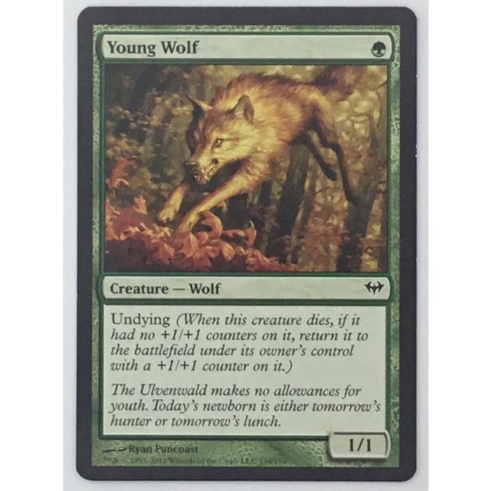 MTG Young Wolf Creature Dark Ascension 134/158 Wizards of the Coast Trading Card