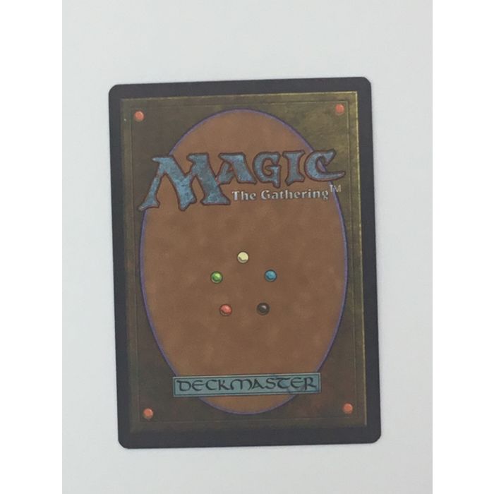 MTG Untamed Wilds Sorcery Romas Portal Near Mint Condition Magic The Gathering